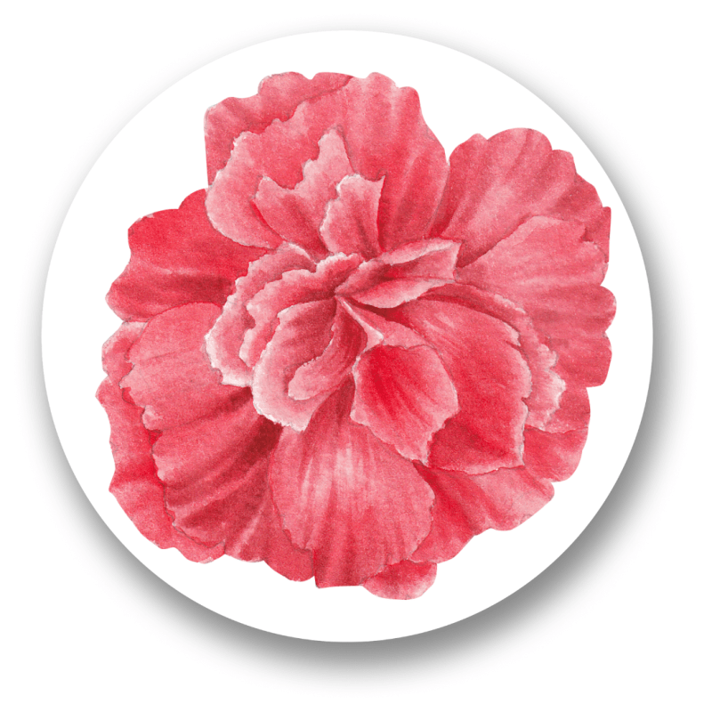 A Journey into Conscious&nbsp;Intimacy.