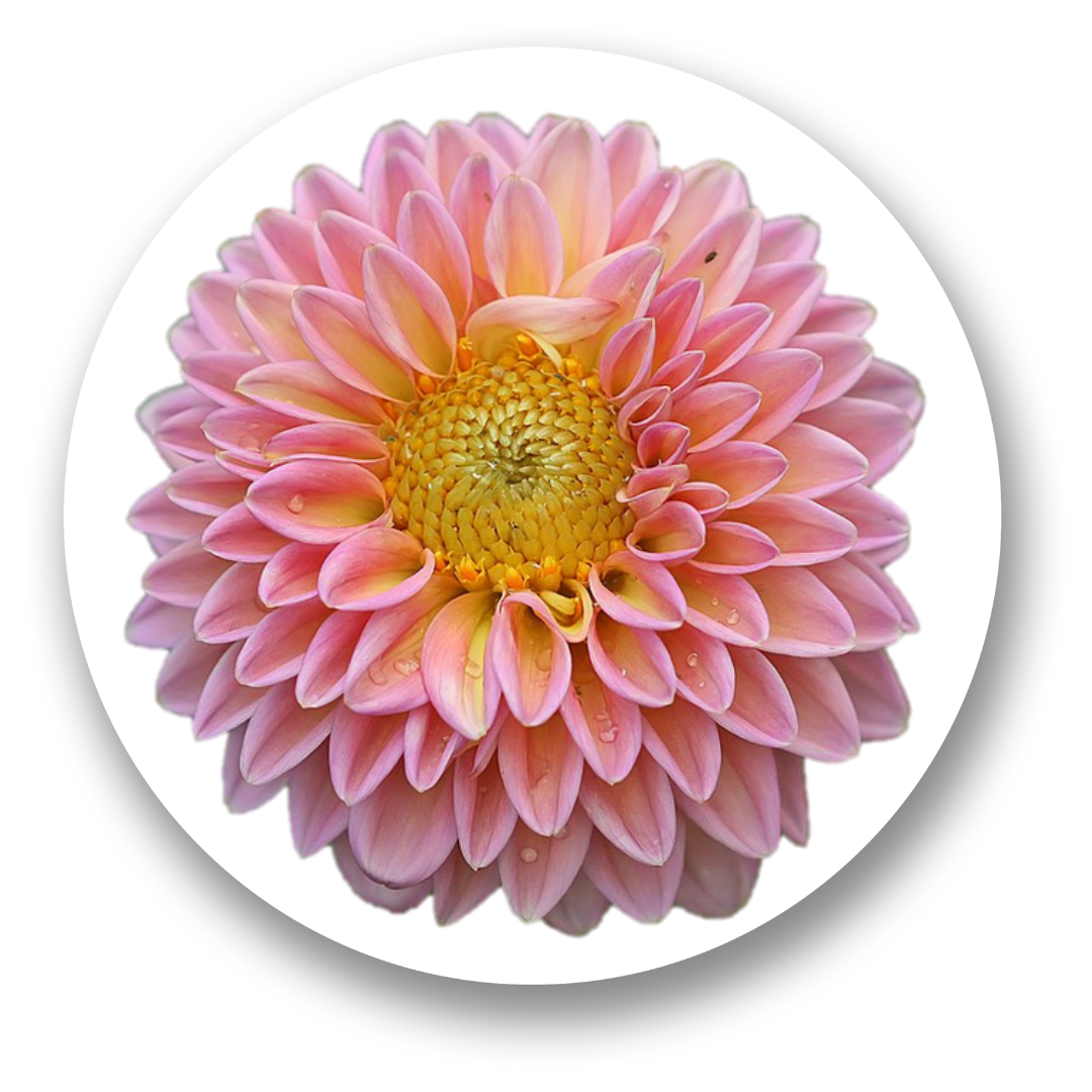 Sacred Encounters: My Path to Conscious Love (Part 1)