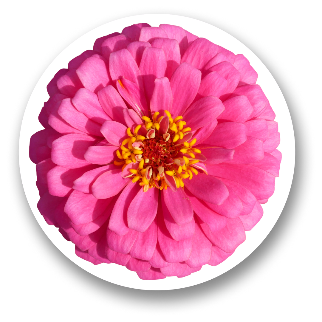Sacred Encounters: My Path to Conscious Love (Part 2)