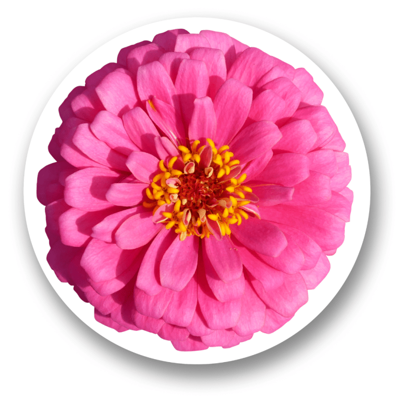 Sacred Encounters: My Path to Conscious Love (Part&nbsp;2)