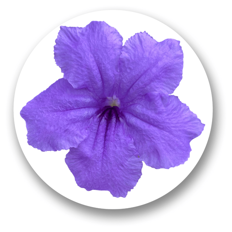 Slowing Down… Or Am&nbsp;I?